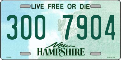 NH license plate 3007904