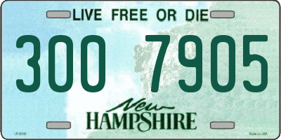 NH license plate 3007905