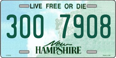 NH license plate 3007908