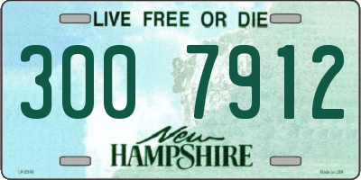 NH license plate 3007912