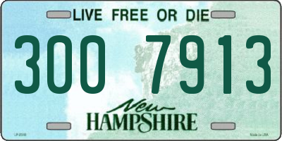 NH license plate 3007913