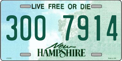 NH license plate 3007914