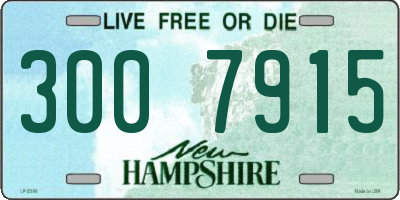 NH license plate 3007915