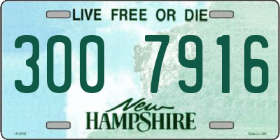 NH license plate 3007916