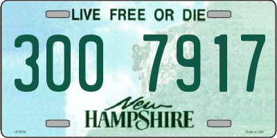 NH license plate 3007917