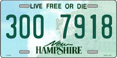 NH license plate 3007918