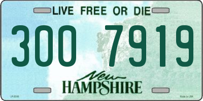 NH license plate 3007919