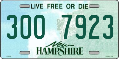 NH license plate 3007923