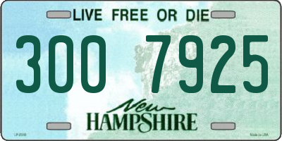 NH license plate 3007925