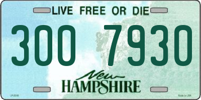 NH license plate 3007930