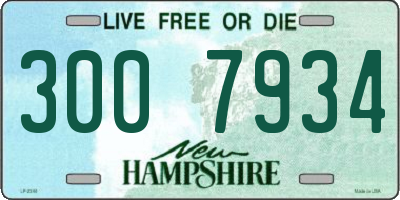 NH license plate 3007934