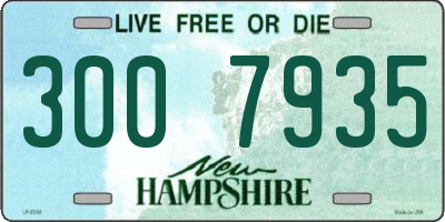 NH license plate 3007935