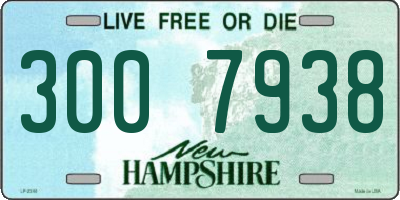 NH license plate 3007938
