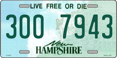 NH license plate 3007943