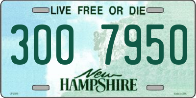 NH license plate 3007950
