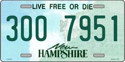 NH license plate 3007951