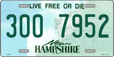 NH license plate 3007952