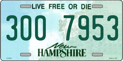 NH license plate 3007953