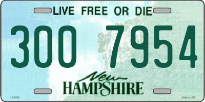 NH license plate 3007954