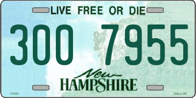 NH license plate 3007955