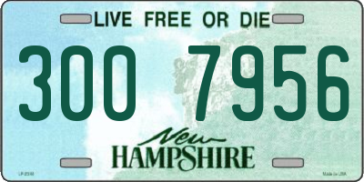 NH license plate 3007956