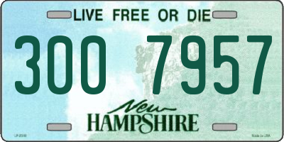 NH license plate 3007957