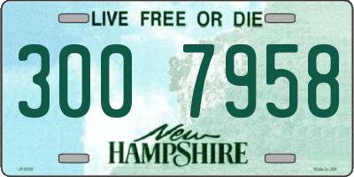 NH license plate 3007958