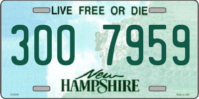 NH license plate 3007959