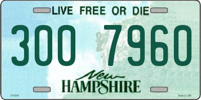 NH license plate 3007960