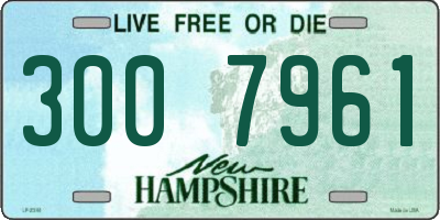 NH license plate 3007961