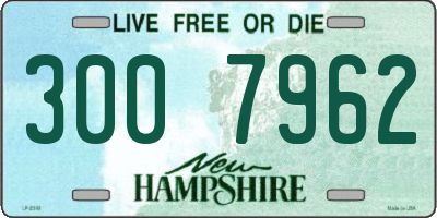 NH license plate 3007962