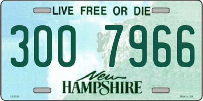 NH license plate 3007966