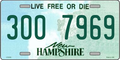 NH license plate 3007969