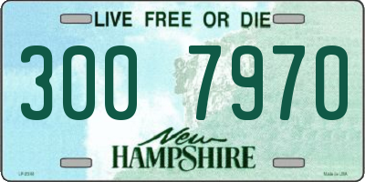 NH license plate 3007970
