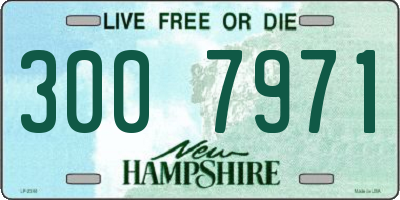 NH license plate 3007971