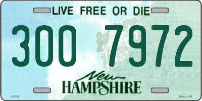 NH license plate 3007972