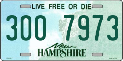 NH license plate 3007973