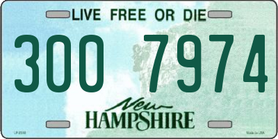 NH license plate 3007974