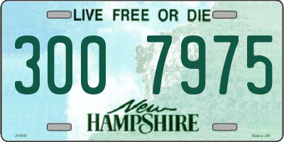 NH license plate 3007975
