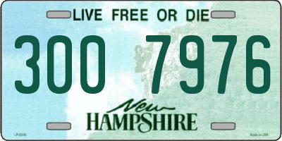 NH license plate 3007976