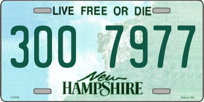 NH license plate 3007977
