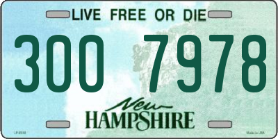 NH license plate 3007978