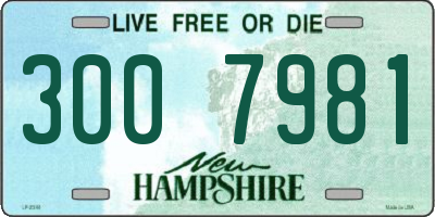 NH license plate 3007981