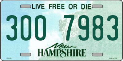 NH license plate 3007983