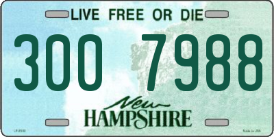 NH license plate 3007988