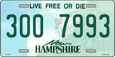 NH license plate 3007993