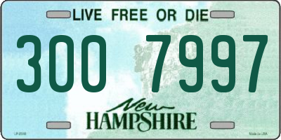 NH license plate 3007997