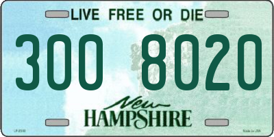 NH license plate 3008020