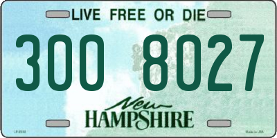 NH license plate 3008027