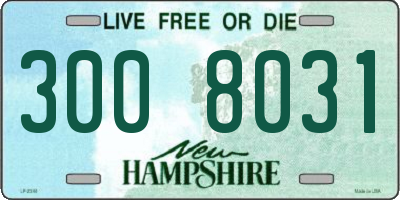 NH license plate 3008031